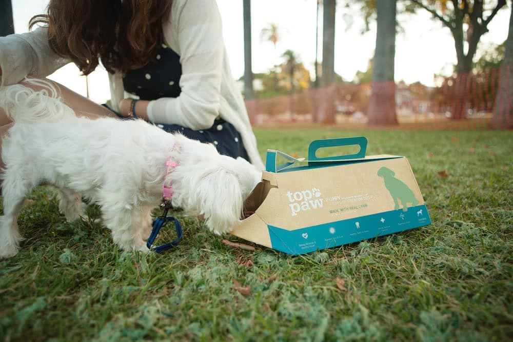 Pet food packaging by Ben Yi Design