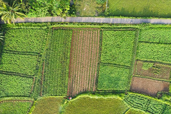 Intensive agriculture as seen from above.