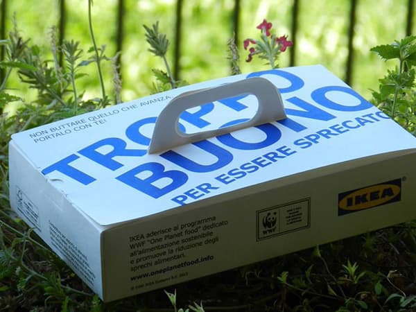 Box with handle against waste