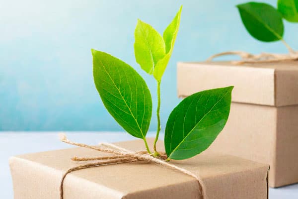 Two kraft cardboard boxes packed with green leaves