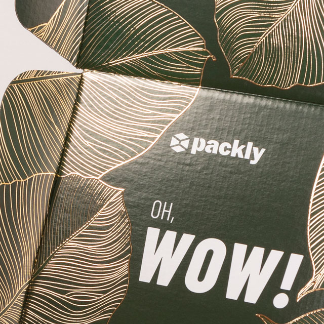 corrugated cardboard box